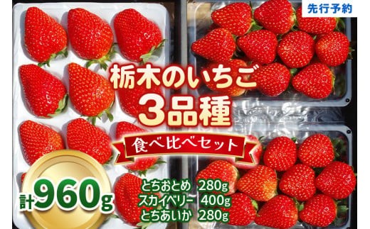 【3月以降発送】いちごの贅沢！栃木の3品種食べ比べセット 960g 澳原いちご農園  | いちご 苺 イチゴ フルーツ 果物 産地直送 栃木県産 【3月以降発送】960g 