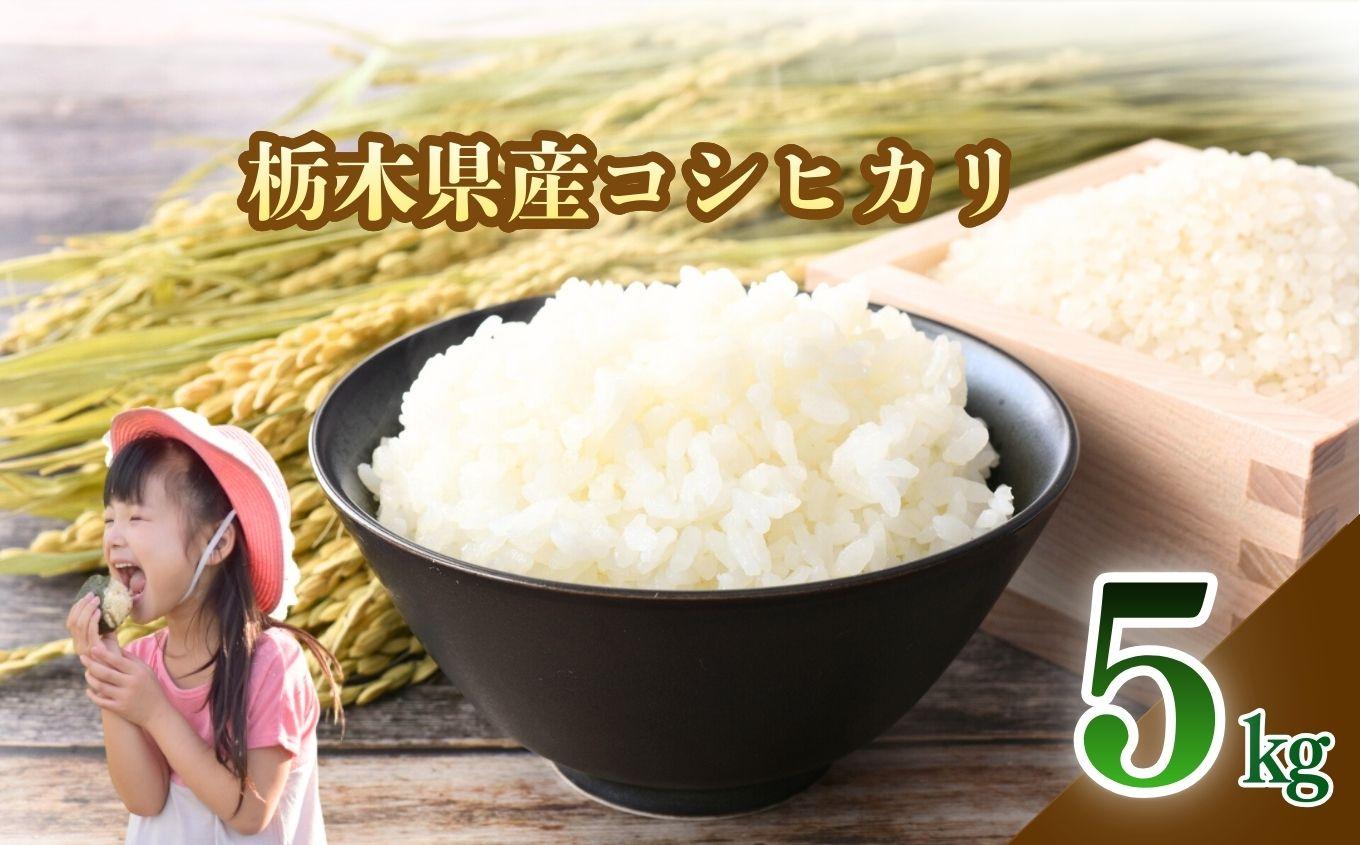 【2026年先行予約】栃木県産 こしひかり 白米 5kg | お米 米 こめ 白米  コシヒカリ こしひかり 美味しい お弁当 選べる ふるさと 納税 栃木県 矢板市 5kg | 単品 | 14,000円