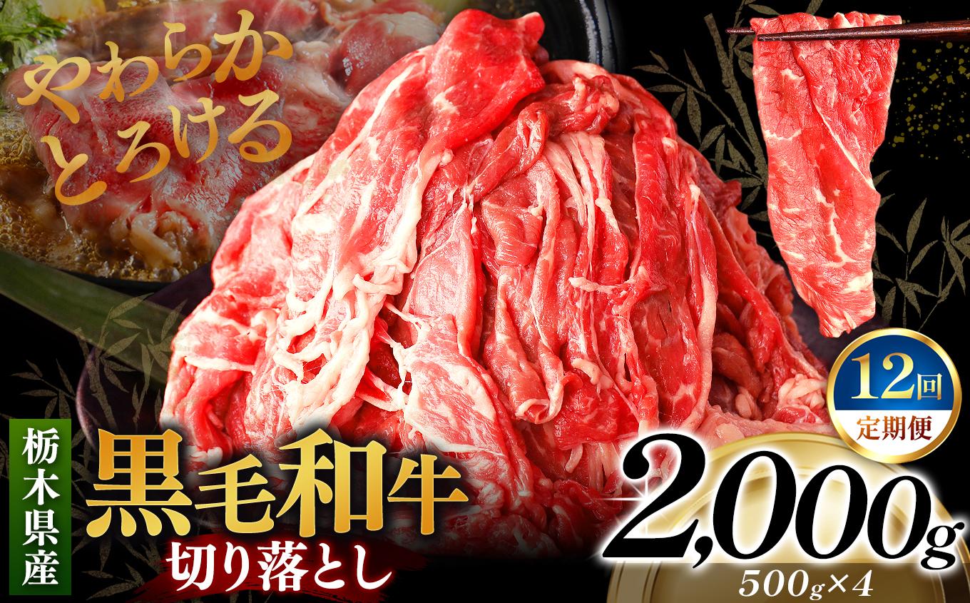 [定期便12回]栃木県産黒毛和牛切り落とし 2000g｜数量限定 黒毛 和牛 牛肉 国産牛 国産 ブランド牛 お肉 切り落とし サシ 霜降り 甘い ステーキ すき焼き しゃぶしゃぶ 焼肉 切落し 上品 アレンジ 美味しい 料理 主婦 とちぎ  栃木県 矢板市 [定期便12回] 2kg