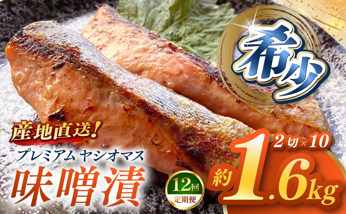 【定期便12回】「プレミアムヤシオマス」の味噌漬 2切入×10パック  [ 冷凍便 ] | 魚 ます 養殖 産地直送 栃木県 (毎月お届け） 【定期12回】味噌漬 2切入×10P