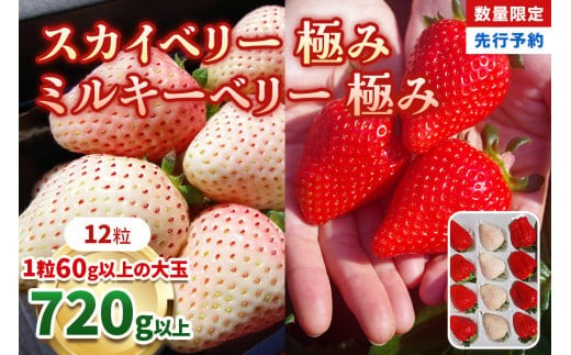 [数量限定] スカイベリー 極み×ミルキーベリー 極み 12粒《1月初旬～2月初旬に順次発送》 澳原いちご農園 | いちご イチゴ 苺 フルーツ スカイベリー ミルキーベリー 果物 産地直送 栃木県産