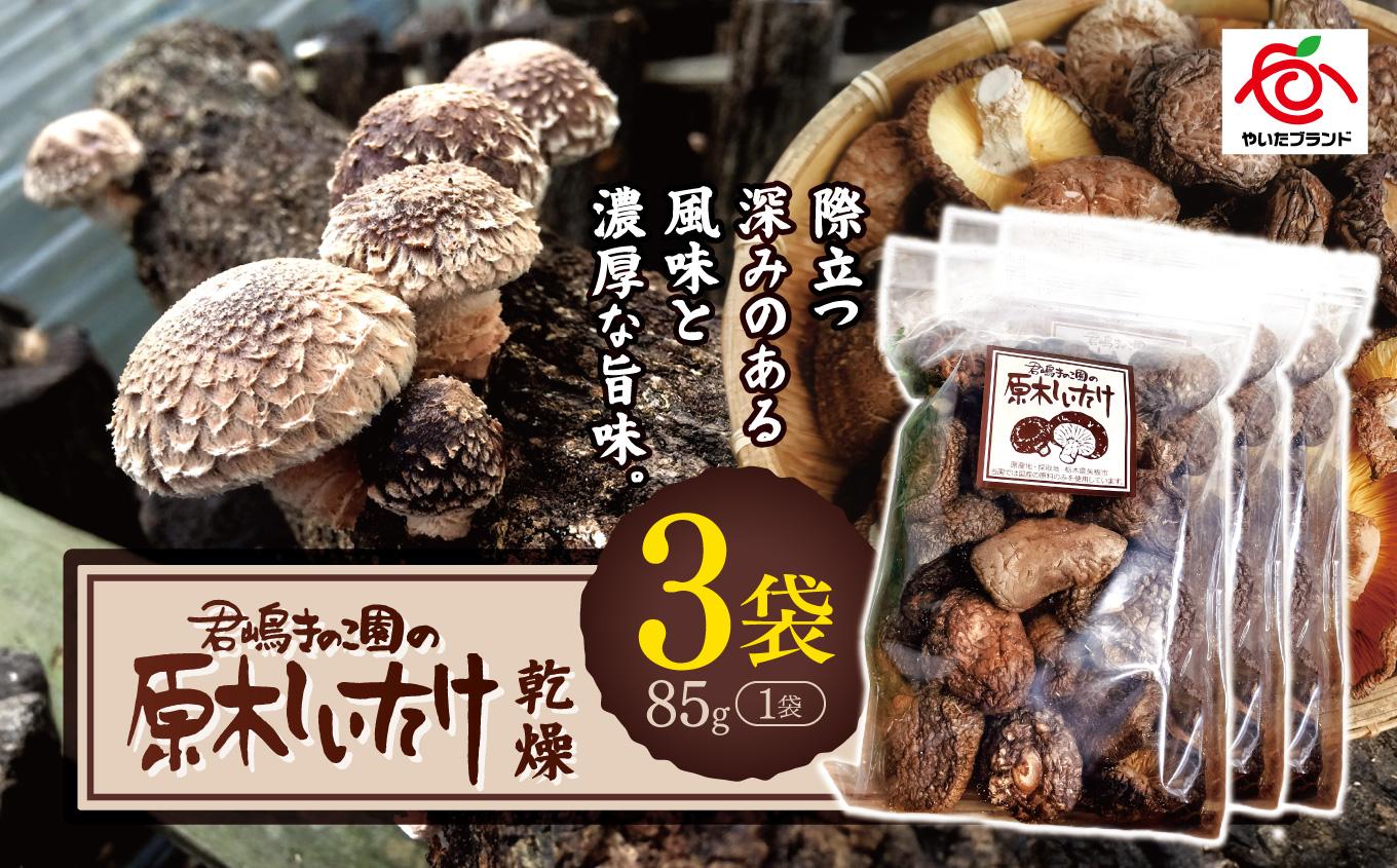 乾燥しいたけ 3袋｜栃木県 矢板市 しいたけ 椎茸 産地直送  乾燥 3袋 | 12,000円