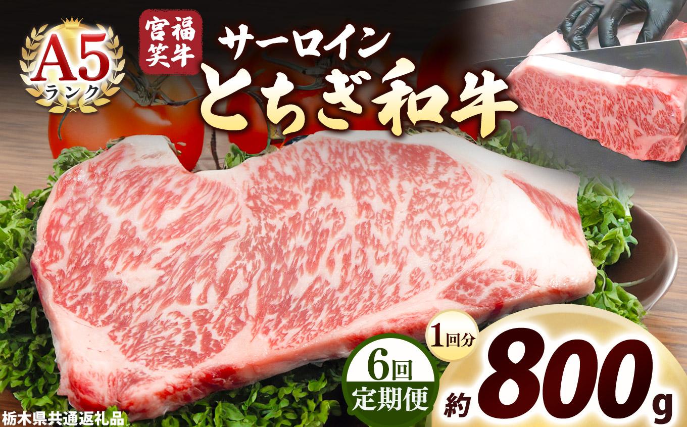 [定期便6回]宮福笑牛(とちぎ和牛) A5 サーロインステーキ 200g×4枚｜数量限定 黒毛 和牛 牛肉 国産牛 国産 ブランド牛 お肉 切り落とし サシ 霜降り 甘い ステーキ すき焼き しゃぶしゃぶ 焼肉 切落し 上品 アレンジ 美味しい 料理 主婦 とちぎ  栃木県 矢板市 800g | 定期便6回