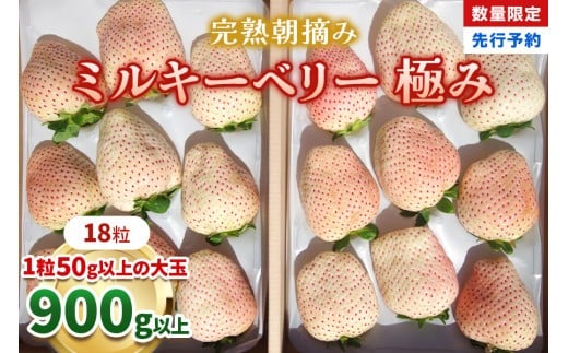 [数量限定] 完熟朝摘みミルキーベリー 極み 18粒《1月初旬～2月初旬に順次発送》 澳原いちご農園 | いちご イチゴ 苺 フルーツ ミルキーベリー 果物 産地直送 栃木県産