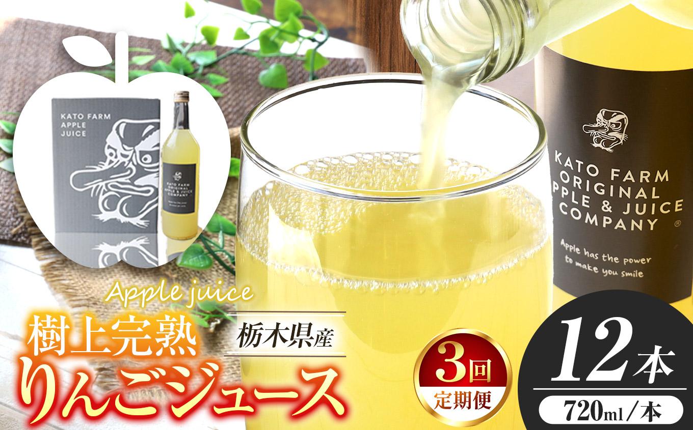 【定期便3回】栃木県矢板市産 樹上完熟100％りんごジュース 720ml×12本入  | 林檎 リンゴ 果汁100% 産地直送 (毎月お届け）   【定期便3回】  720ml×12本入