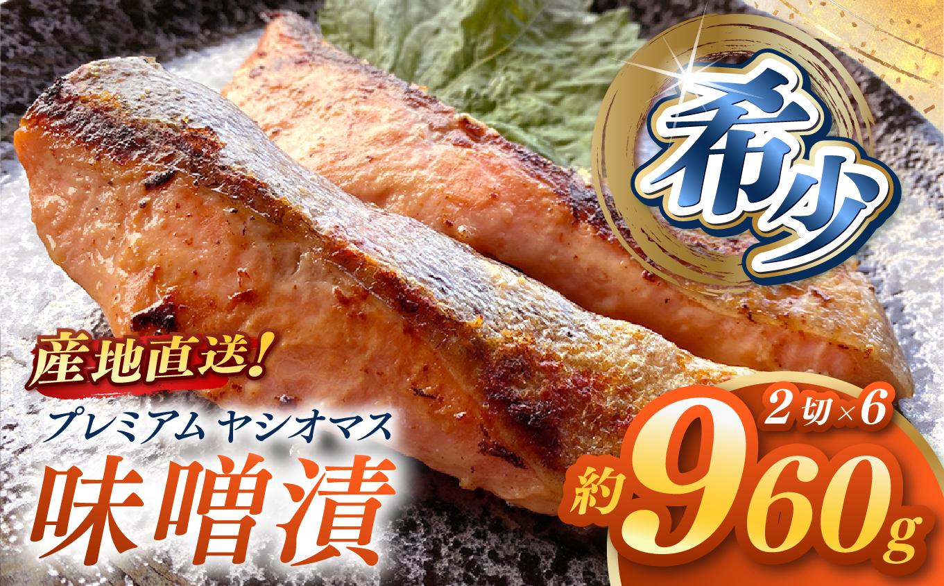 「プレミアムヤシオマス」の味噌漬 2切入×6パック  [ 冷凍便 ] | 魚 ます 養殖 産地直送 栃木県 【単品】味噌漬 2切入×6P