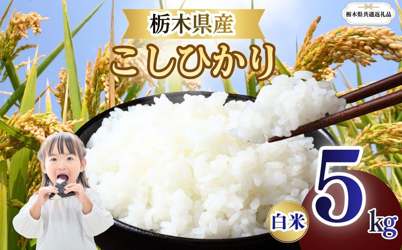 こしひかり 精米 5kg  | 栃木県 矢板市