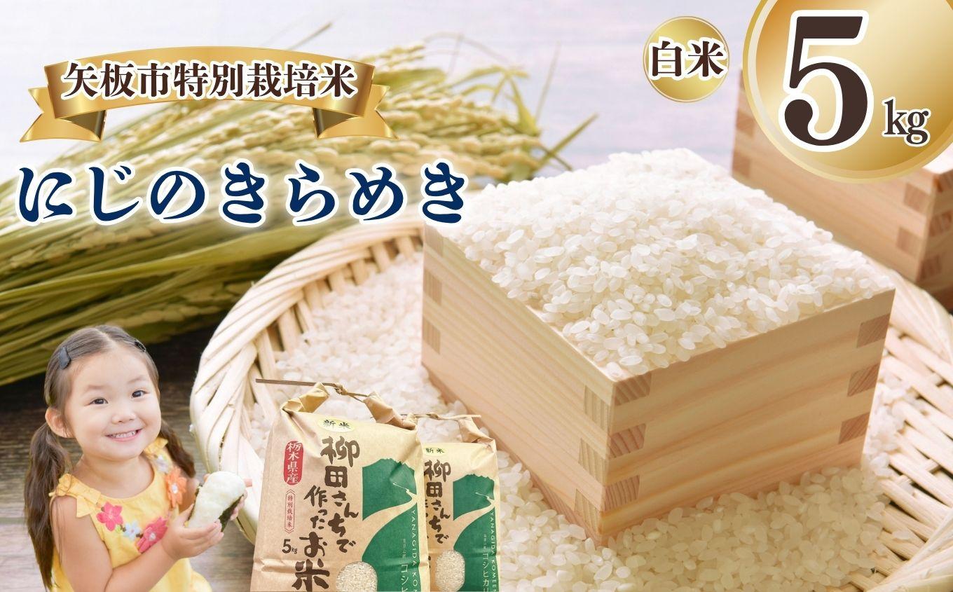 矢板市特別栽培米 にじのきらめき 白米 5kg | お米 米 こめ 白米 玄米 にじのきらめき コシヒカリ こしひかり 美味しい お弁当 選べる エコ スマート 環境 手間暇 土づくり  ふるさと 納税 栃木県 矢板市 白米 5kg