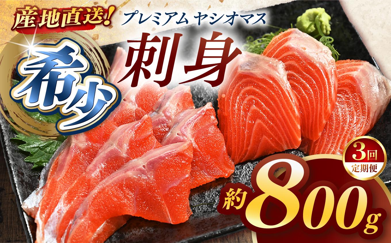 【定期便3回】産地直送栃木県のブランド魚「プレミアムヤシオマス」の刺身 800g (200g×4パック)    [ 冷凍便 ] | 魚 ます 養殖 産地直送 栃木県 (毎月お届け） 【定期3回】刺身800ｇ |  66,000円