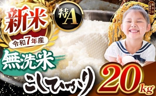 栃木県産コシヒカリ 無洗米 20kg 【栃木県共通返礼品】 | お米 米 こめ 洗米 新米 無洗米 コシヒカリ こしひかり 美味しい お弁当 選べる ふるさと 納税 栃木県 矢板市 20kg | 【発送1回】 49,500円