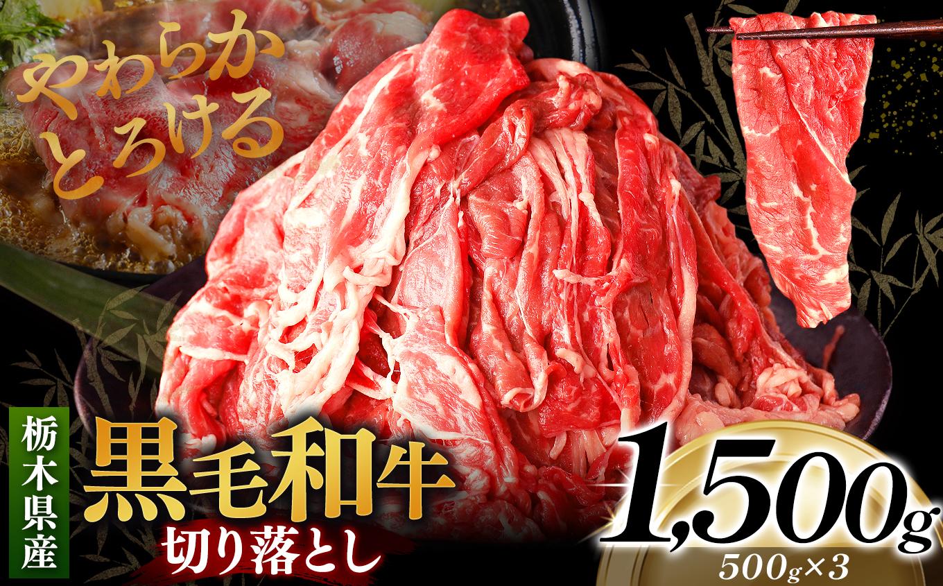 栃木県産黒毛和牛切り落とし 1500g｜数量限定 黒毛 和牛 牛肉 国産牛 国産 ブランド牛 お肉 切り落とし サシ 霜降り 甘い ステーキ すき焼き しゃぶしゃぶ 焼肉 切落し 上品 アレンジ 美味しい 料理 主婦 とちぎ  栃木県 矢板市 1.5kg