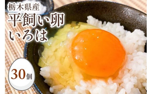 全体的に甘みとコクのある黄身が特徴 ワタナベファームの優等生な末っ子【平飼い卵いろは】 【単品】| 12,000円