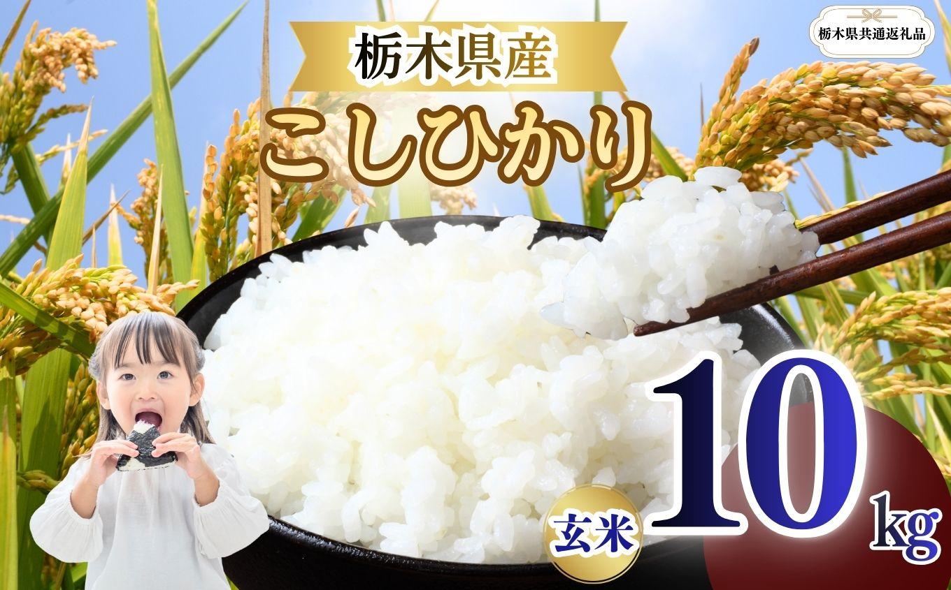 こしひかり 玄米 10kg  | 栃木県 矢板市