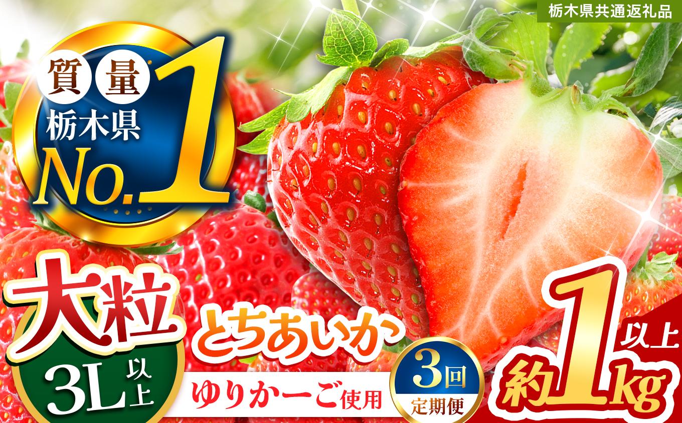 【定期便3回】とちあいか 3L以上ホール詰め | いちご とちあいか 大粒 新鮮 甘い 数量 限定 美味しい 果物 共通返礼品 フルーツ デザート 栃木県 送料無料 【定期便3回】とちあいか 1kg以上