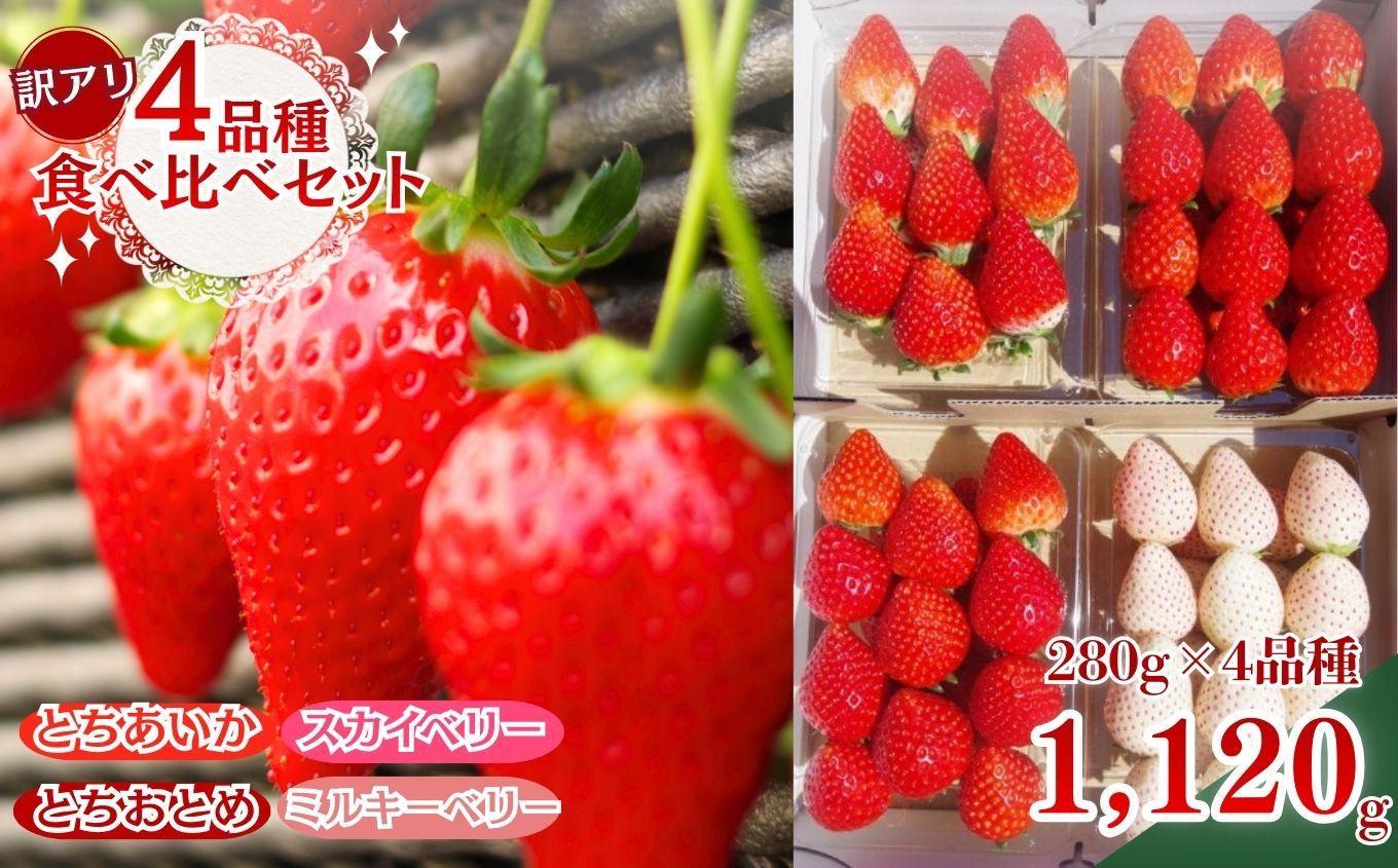《2月上旬より順次出荷》｜栃木のいちご 4品種食べ比べデラックス | 1120g |とちあいか とちおとめ スカイベリー ミルキーベリー いちご 苺 フルーツ 果物 レビューキャンペーン対象 栃木県 矢板市