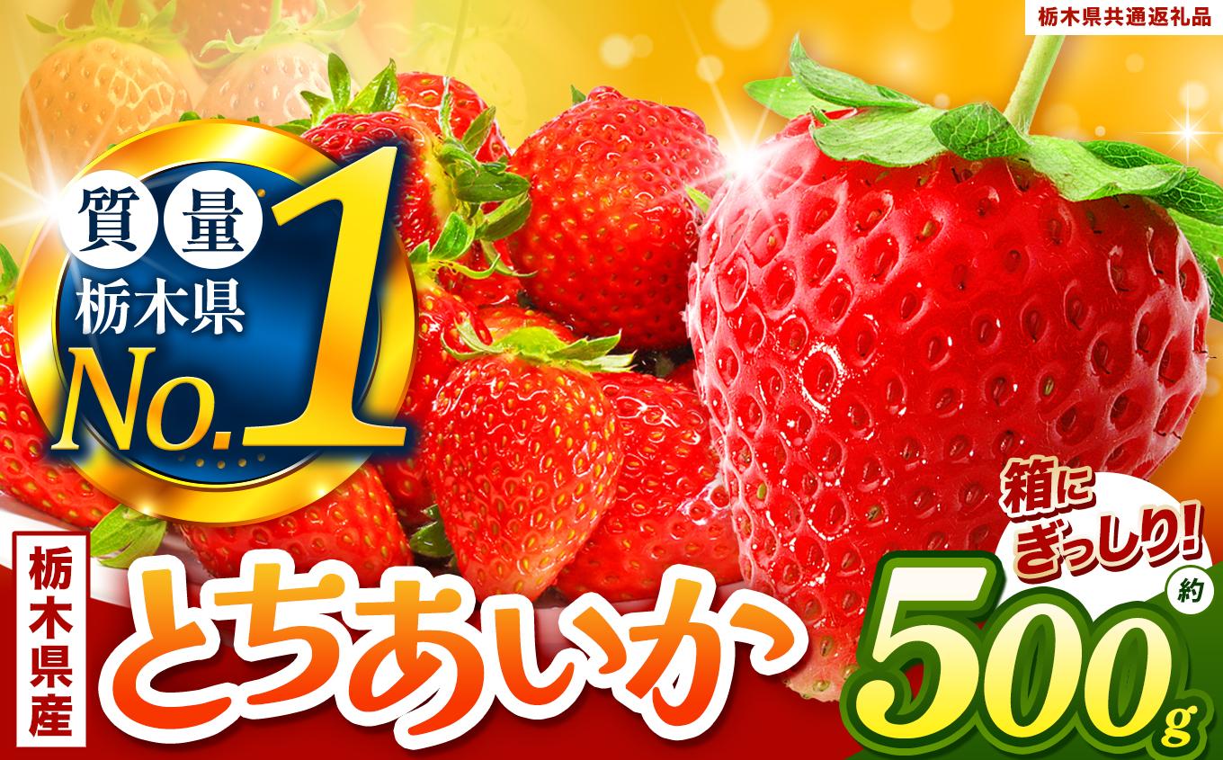 ぎっしりとちあいか 500g | いちご とちあいか 大粒 新鮮 甘い 数量 限定 美味しい 果物 共通返礼品 フルーツ デザート 栃木県 送料無料 とちあいか 500g 