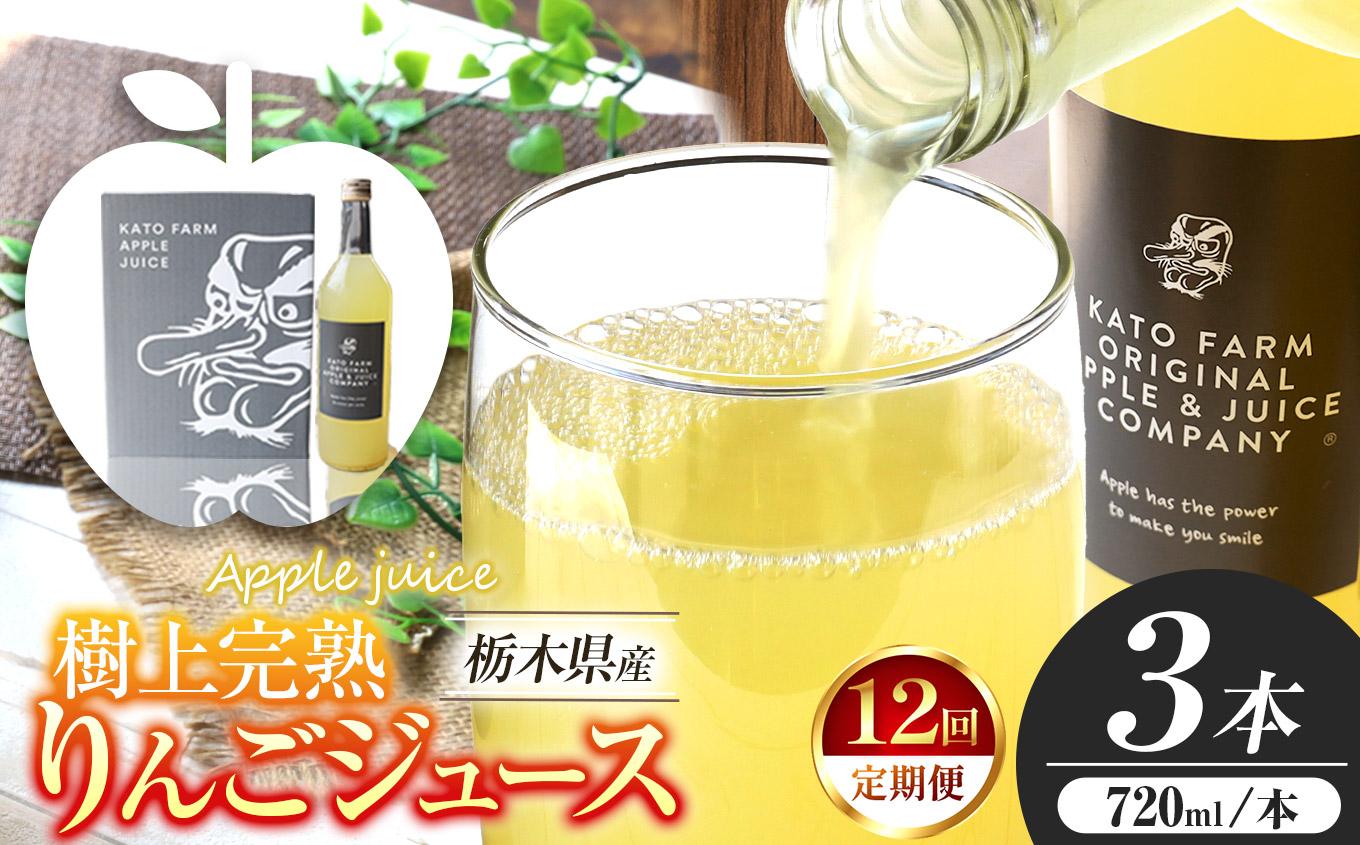 【定期便12回】栃木県矢板市産 樹上完熟100％りんごジュース 720ml×3本入  | 林檎 リンゴ 果汁100% 産地直送 (毎月お届け）   【定期便12回】  720ml×3本入 