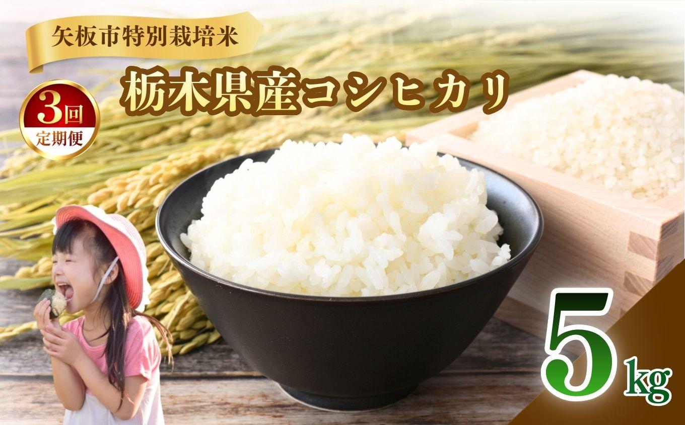 【定期便3回】矢板市特別栽培米 こしひかり 白米 5kg | お米 米 こめ 白米  コシヒカリ こしひかり 美味しい お弁当 選べる ふるさと 納税 栃木県 矢板市 5kg | 定期便3回| 42,000円