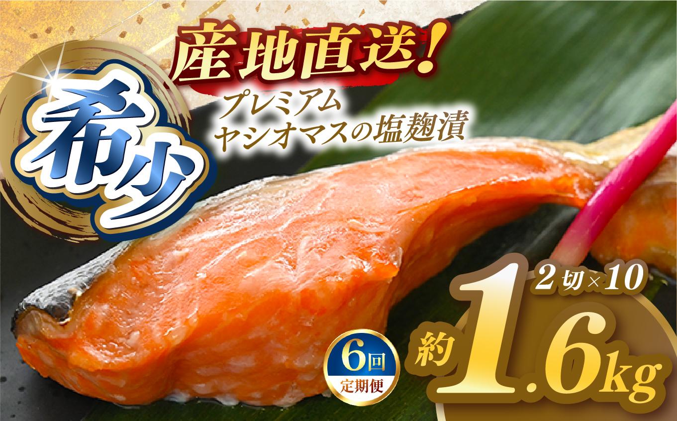 【定期便6回】「プレミアムヤシオマス」の塩麹漬 2切入×10パック  [ 冷凍便 ] | 魚 ます 養殖 産地直送 栃木県 (毎月お届け） 【定期6回】塩麹漬 2切入×10P
