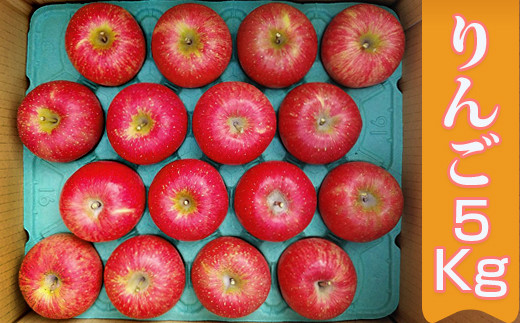【11月下旬より順次お届け】[数量限定] 矢板市産完熟りんご ふじ 5kg箱｜リンゴ 林檎 フルーツ 果実 果物 スイーツ 産地直送 栃木県産 国産 先行予約 