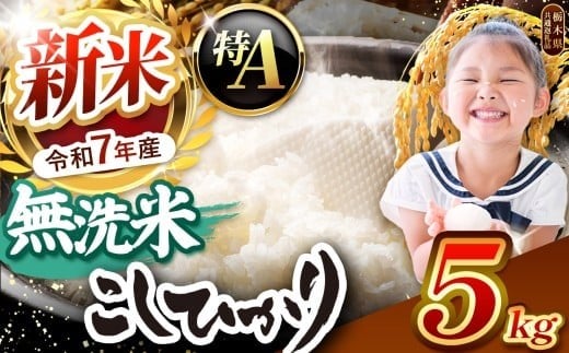 栃木県産コシヒカリ 無洗米 5kg【栃木県共通返礼品】 | お米 米 こめ 洗米 新米 無洗米 コシヒカリ こしひかり 美味しい お弁当 選べる ふるさと 納税 栃木県 矢板市   5kg | 【発送1回】 13,900円
