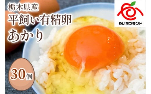 [平飼い有精卵30個] 濃厚な黄身が特徴 ワタナベファームのおてんば長女【平飼い有精卵あかり】 【単品】| 12,000円