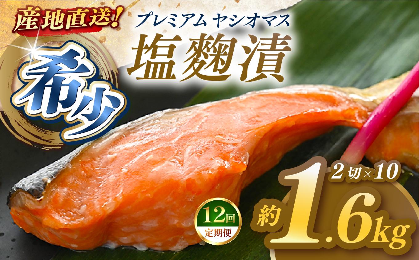【定期便12回】「プレミアムヤシオマス」の塩麹漬 2切入×10パック  [ 冷凍便 ] | 魚 ます 養殖 産地直送 栃木県 (毎月お届け） 【定期12回】塩麹漬 2切入×10P