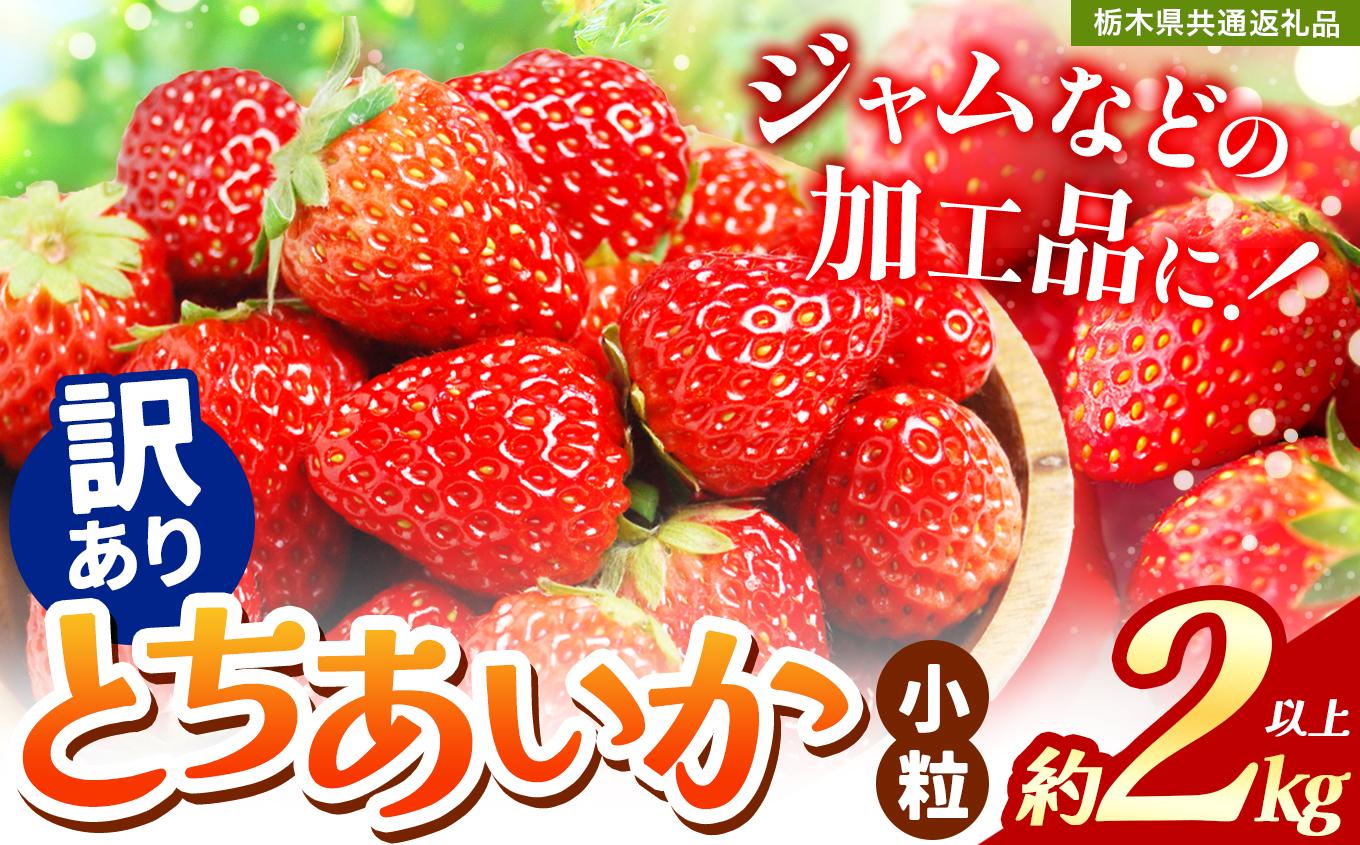 【訳あり】不揃いとちあいか2kg以上| 訳あり訳あり いちご とちあいか 大粒 新鮮 甘い 数量 限定 美味しい 果物 共通返礼品 フルーツ デザート 栃木県 送料無料 【訳あり】 不揃いとちあいか2kg