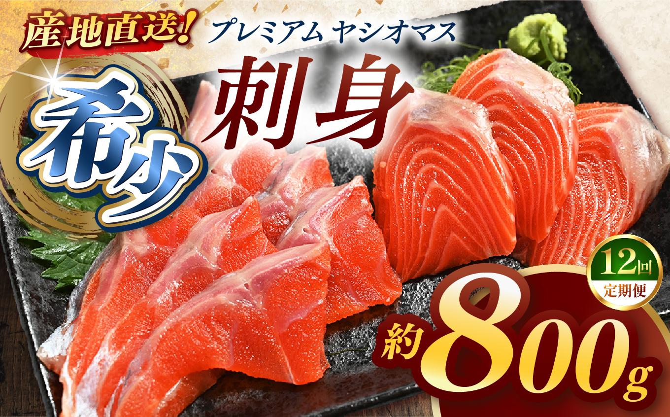 【定期便12回】産地直送栃木県のブランド魚「プレミアムヤシオマス」の刺身 800g (200g×4パック)  [ 冷凍便 ] | 魚 ます 養殖 産地直送 栃木県 (毎月お届け） 【定期12回】刺身800ｇ 