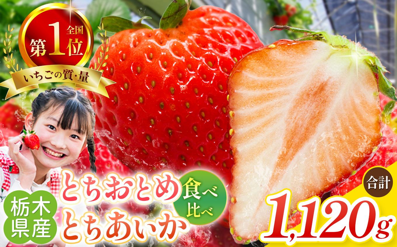 [4月中旬より順次発送予定・秘密にしたい美味しさ] 朝獲れ新鮮とちおとめ、とちあいかの食べ比べセット 1120g｜いちご とちおとめ とちあいか 苺 フルーツ 果物  美味しい 産地直送 関農園 先行予約