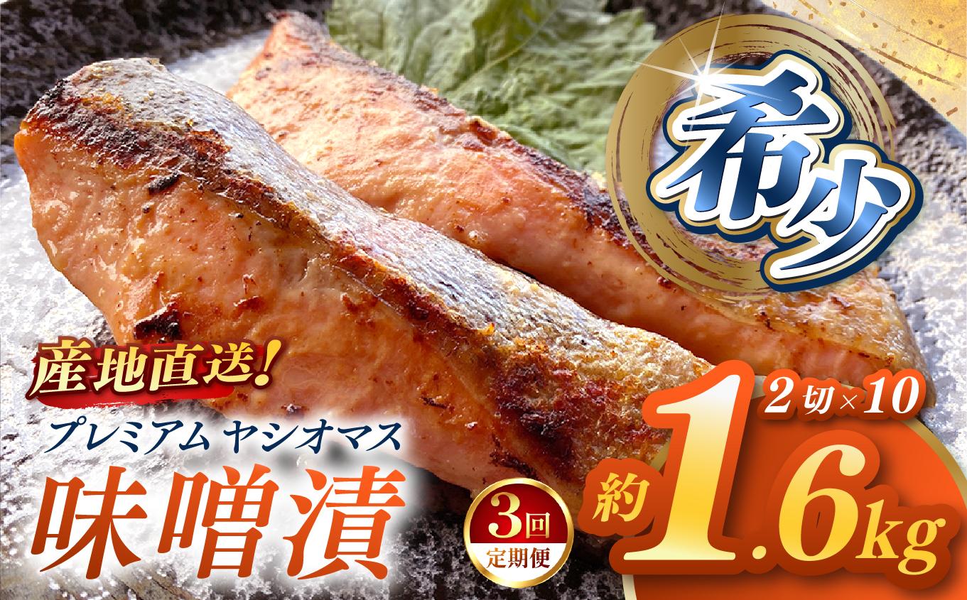 【定期便3回】「プレミアムヤシオマス」の味噌漬 2切入×10パック  [ 冷凍便 ] | 魚 ます 養殖 産地直送 栃木県 (毎月お届け） 【定期3回】味噌漬 2切入×10P