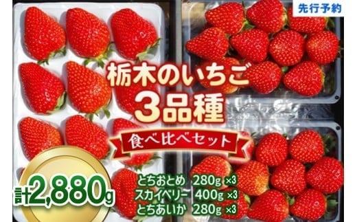 いちごの贅沢！栃木の3品種食べ比べセット 2,880g (960g×3)《12月中旬～4月の期間で発送》 澳原いちご農園  | いちご 苺 イチゴ フルーツ 果物 産地直送 栃木県産 【12～4月の期間で発送】2,880g 