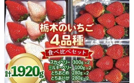 いちご4品種 食べ比べセット 1,920g （とちあいか・とちおとめ・ミルキーベリー・ スカイベリー） 《1月～4月の期間で発送》 澳原いちご農園 | いちご 苺 イチゴ フルーツ 果物 産地直送 栃木県産 【12～4月の期間発送】1,920g 