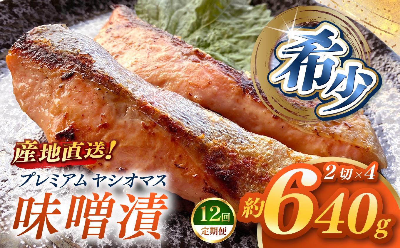 【定期便12回】産地直送栃木県のブランド魚「プレミアムヤシオマス」の味噌漬 2切入×4パック  [ 冷凍便 ] | 魚 ます 養殖 産地直送 栃木県 (毎月お届け） 【定期12回】味噌漬 2切入×4P 
