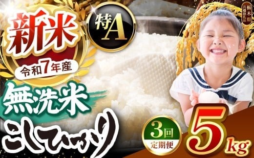 【令和7年度新米先行予約】栃木県産コシヒカリ 無洗米 5kg 定期便3回 【栃木県共通返礼品】| 定期便 お米 米 こめ 洗米 新米 無洗米 コシヒカリ こしひかり 美味しい お弁当 選べる ふるさと 納税 栃木県 矢板市   5kg | 【定期便3回】 