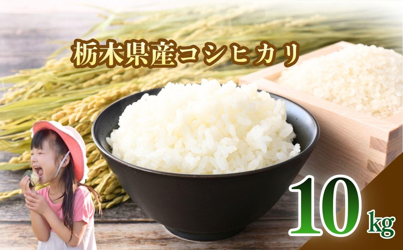 栃木県産 こしひかり 白米 10kg | お米 米 こめ 白米  コシヒカリ こしひかり 美味しい お弁当 選べる ふるさと 納税 栃木県 矢板市 10kg | 単品 | 26,000円