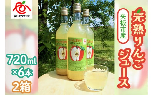 【定期便3回】 矢板市産 完熟りんごジュース《720ml×6本 2箱》｜林檎 リンゴ 果汁100% 産地直送 (毎月お届け）   定期便3回 720ml×6本入り2箱