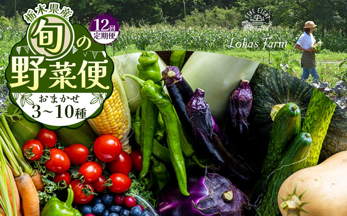 【定期便12回】栃木県産 旬の野菜 (果物) 便 3～10種 定期便あり 12回｜栃木県産 矢板市産 旬の野菜 フルーツ スイーツ デザート 果物 果実 産地直送 栃木県 矢板市 【定期12回】| 168,000円