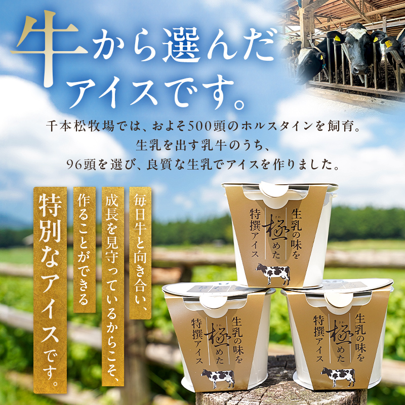 生乳の味を極めた特撰アイス19個セット 【千本松牧場】 ns025-011-19