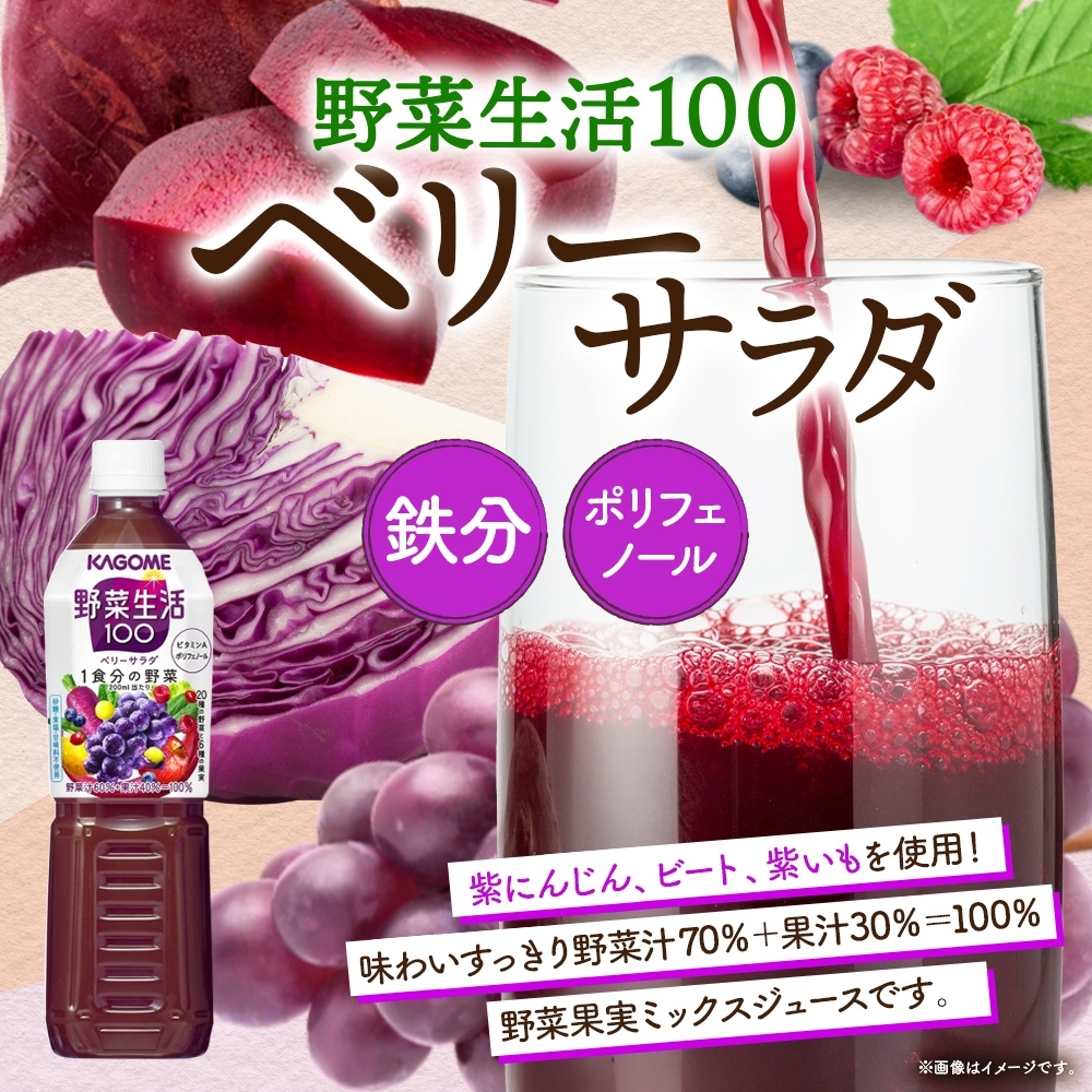 【定期便】12ヵ月連続野菜生活100 ベリーサラダ 720mlPET ns038-077