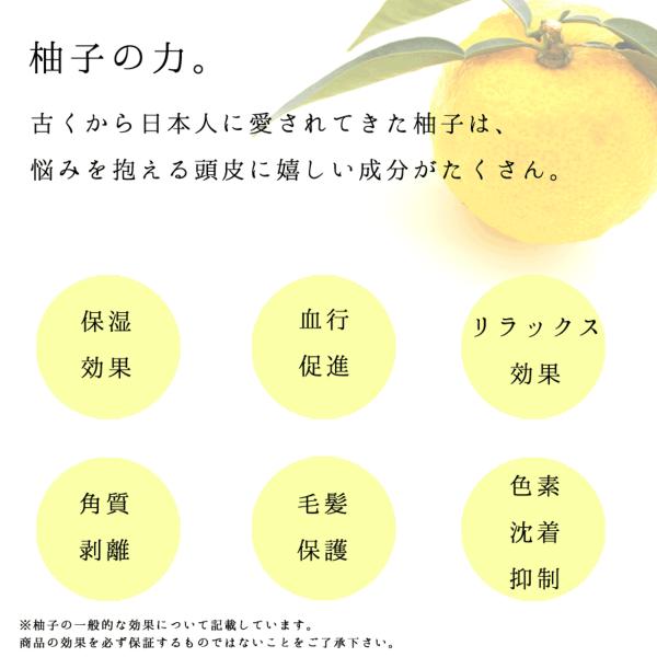 柚子とお米で感じるほのかな和 栃木の柚子 シャンプー&トリートメント ギフトセット 【栃木県 那須塩原市】ns047-004