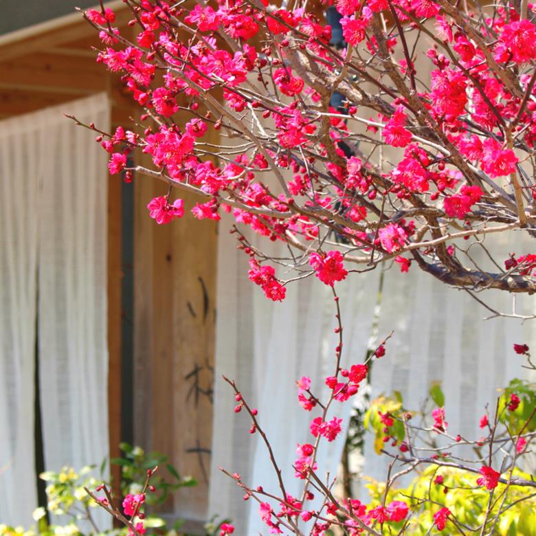 おやど小梅や　ふるさと納税宿泊割引クーポン　15,000円 ns102-001