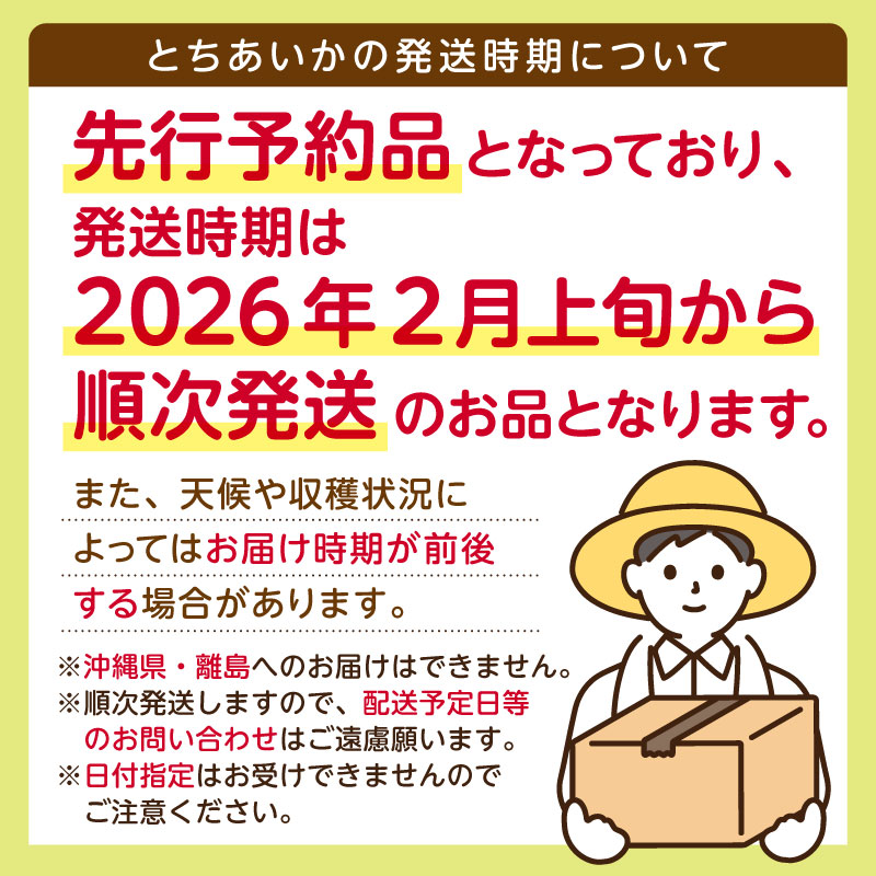 【先行予約】栃木県産　とちあいか約250ｇ×4パック【栃木県共通返礼品】 ns120-001