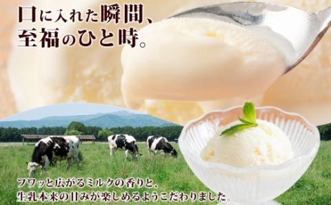 栃木県 千本松牧場 アイスクリーム 6個 牛乳 生乳 ミルク 搾りたて 搾乳 新鮮 アイス 濃厚 甘い さっぱり すっきり なめらか デザート スイーツ おやつ 人気 グルメ ご褒美 ns040-008