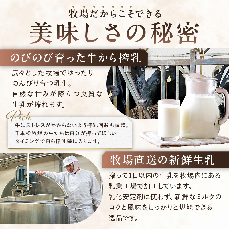 生乳の味を極めた特撰アイス10個セット 【千本松牧場】 ns025-011-10