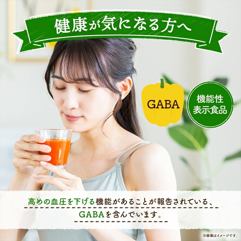 カゴメ 野菜 ジュース 食塩 無添加 160g × 6缶 100% 機能性表示食品 11種類の野菜 濃縮トマト 緑黄色野菜 野菜ジュース セロリ ビート レタス キャベツ ほうれん草 ns038-003