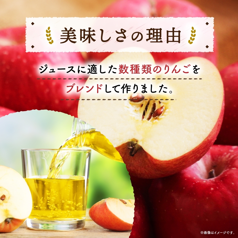 １００ＣＡＮアップル160g×12 ns038-046