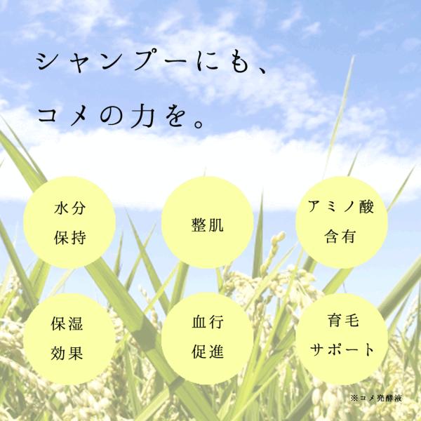 柚子とお米で感じるほのかな和 栃木の柚子 シャンプー&トリートメント ギフトセット 【栃木県 那須塩原市】ns047-004