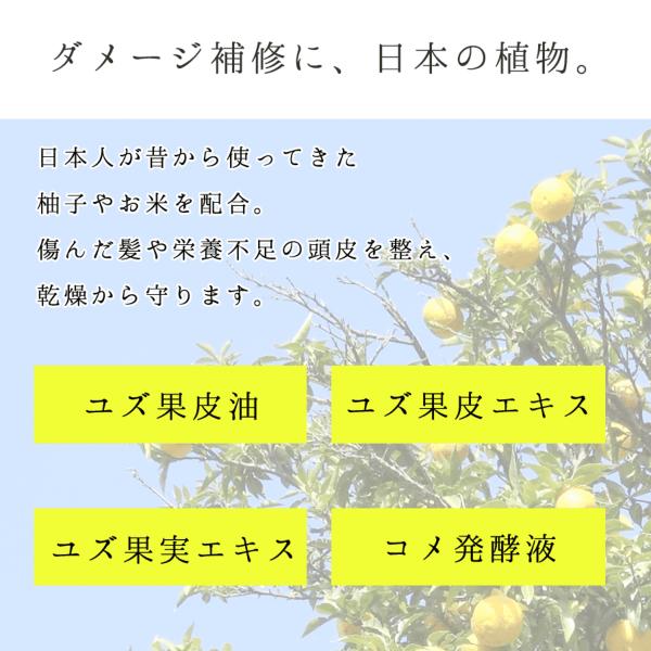 柚子とお米で感じるほのかな和 栃木の柚子 トリートメント(300ml×1本)  【栃木県 那須塩原市】 ns047-005