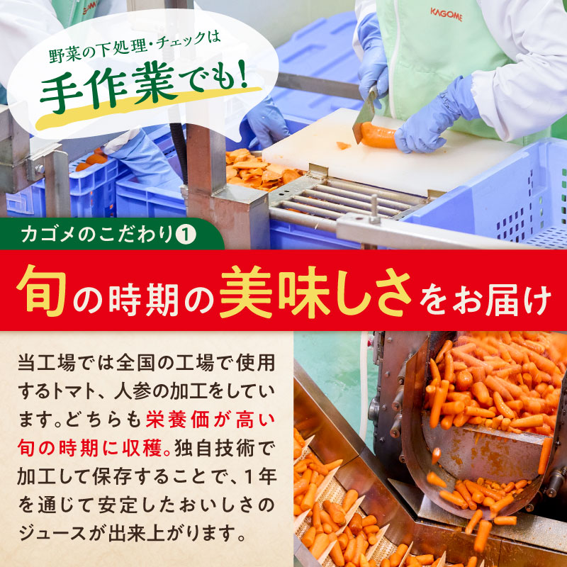 【定期便12ヵ月】カゴメ 野菜一日これ一杯 720ml 15本 ns111-031